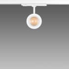 FOSNOVA - FOCUS S 70T 1067 COB 23W 3K CLD BIA