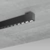 Miniatura Immagine principale 1