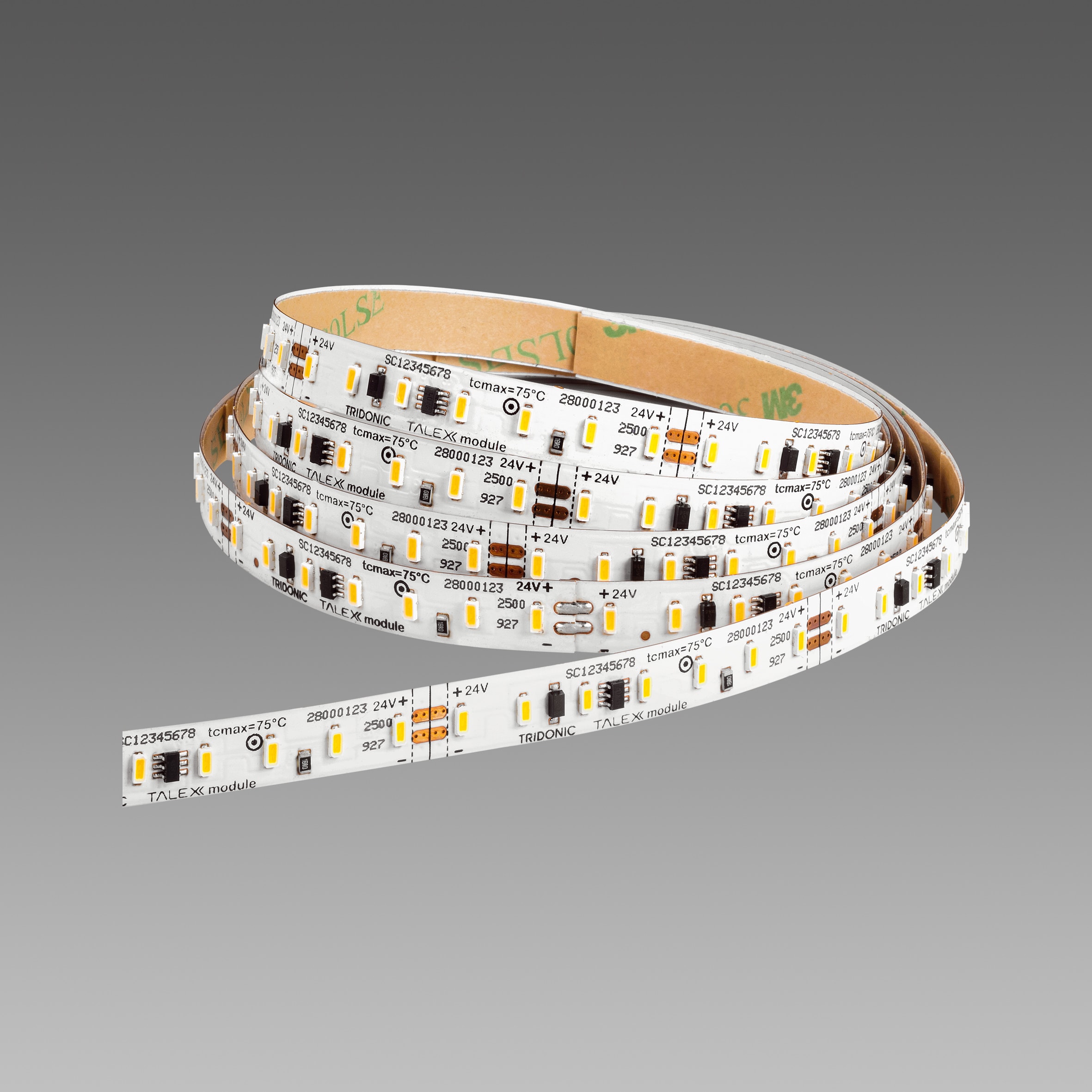 FOSNOVA - STRISCIA LED 4856 LED 16W 4K L 5M 24V