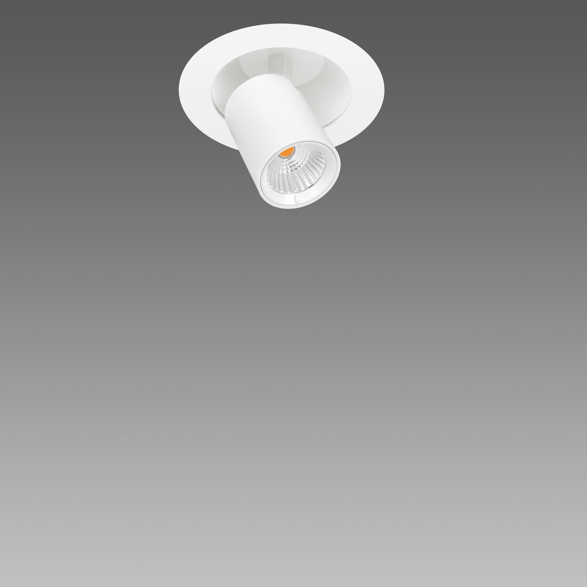 FOSNOVA - .ASSO D SMALL 0438 LED 14W 26 CLD-D-D BI