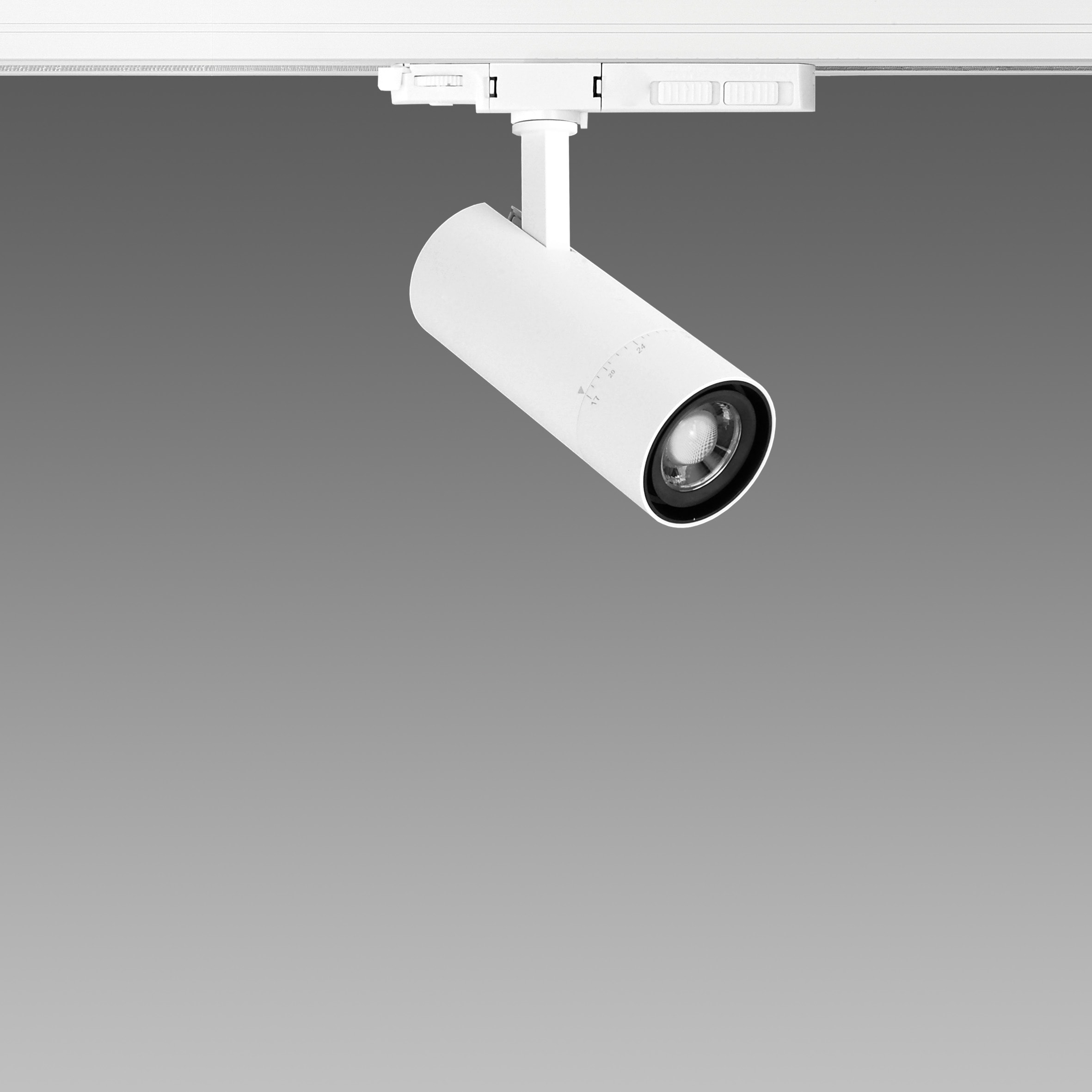 FOSNOVA - .ASSO SMALL Z CCT 0440 8-10-12W CLD BIA