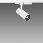 FOSNOVA - .ASSO SMALL Z CCT 0440 8-10-12W CLD NER