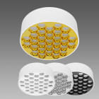 FOSNOVA - .HONEY L189 0734 23W CLD CCT BIA+ORO