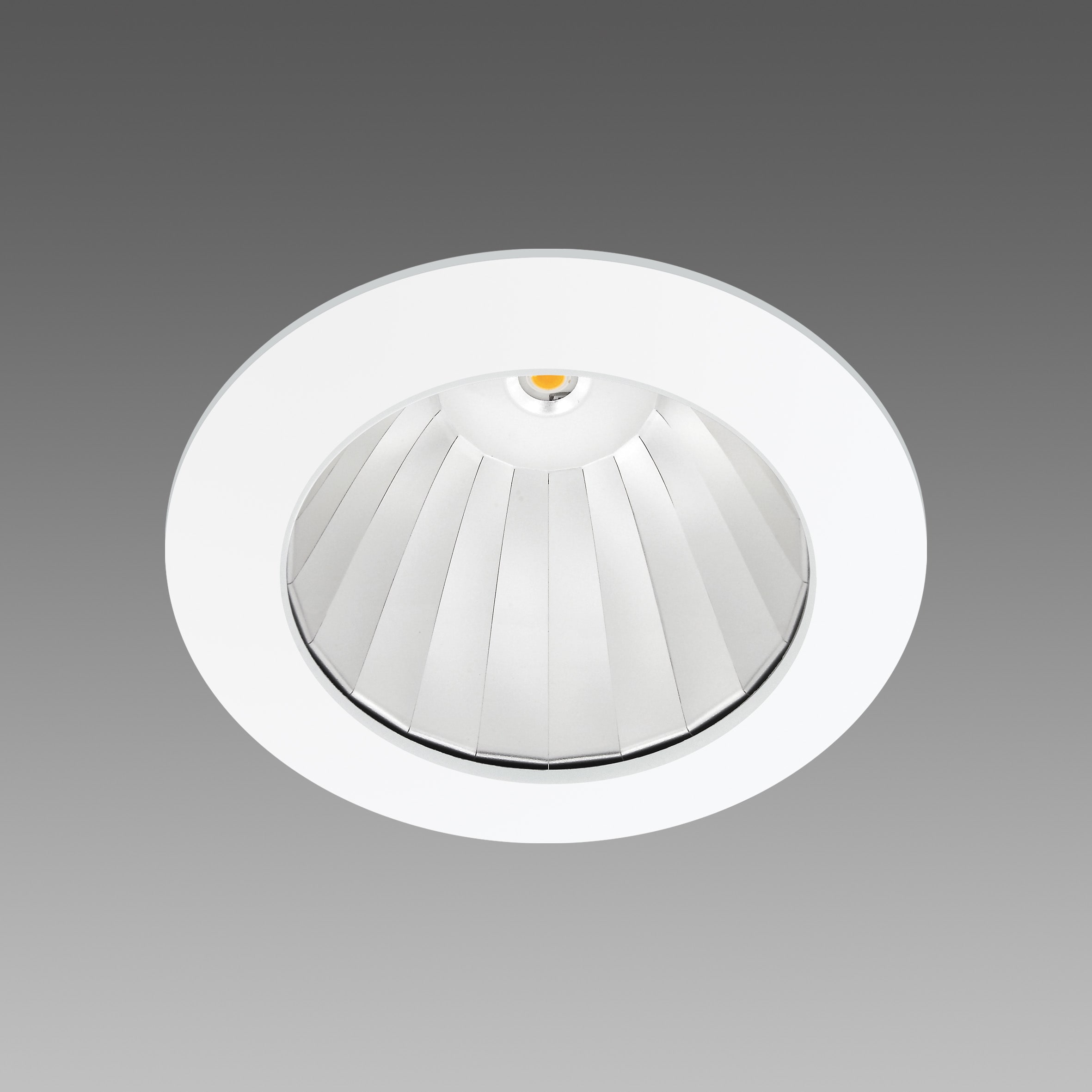 FOSNOVA - MILANO SMALL 835 COB 25W 3K CLD ARG
