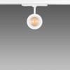 Miniatura Immagine principale 1