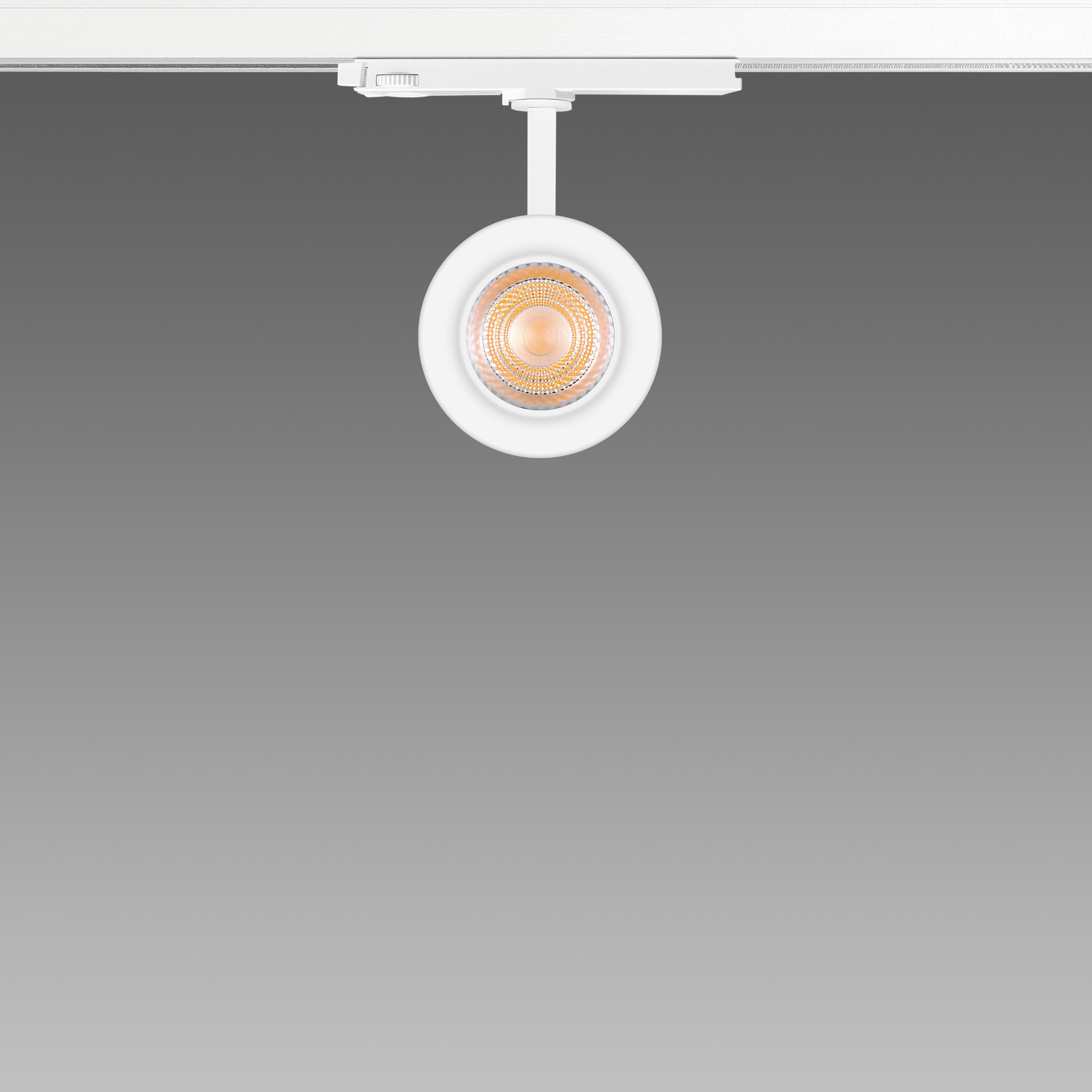 FOSNOVA - FOCUS S 70T 1067 COB 23W 4K CLD NER