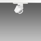 FOSNOVA - FOCUS 50Z 1084 COB 14W 3K CLD BIA