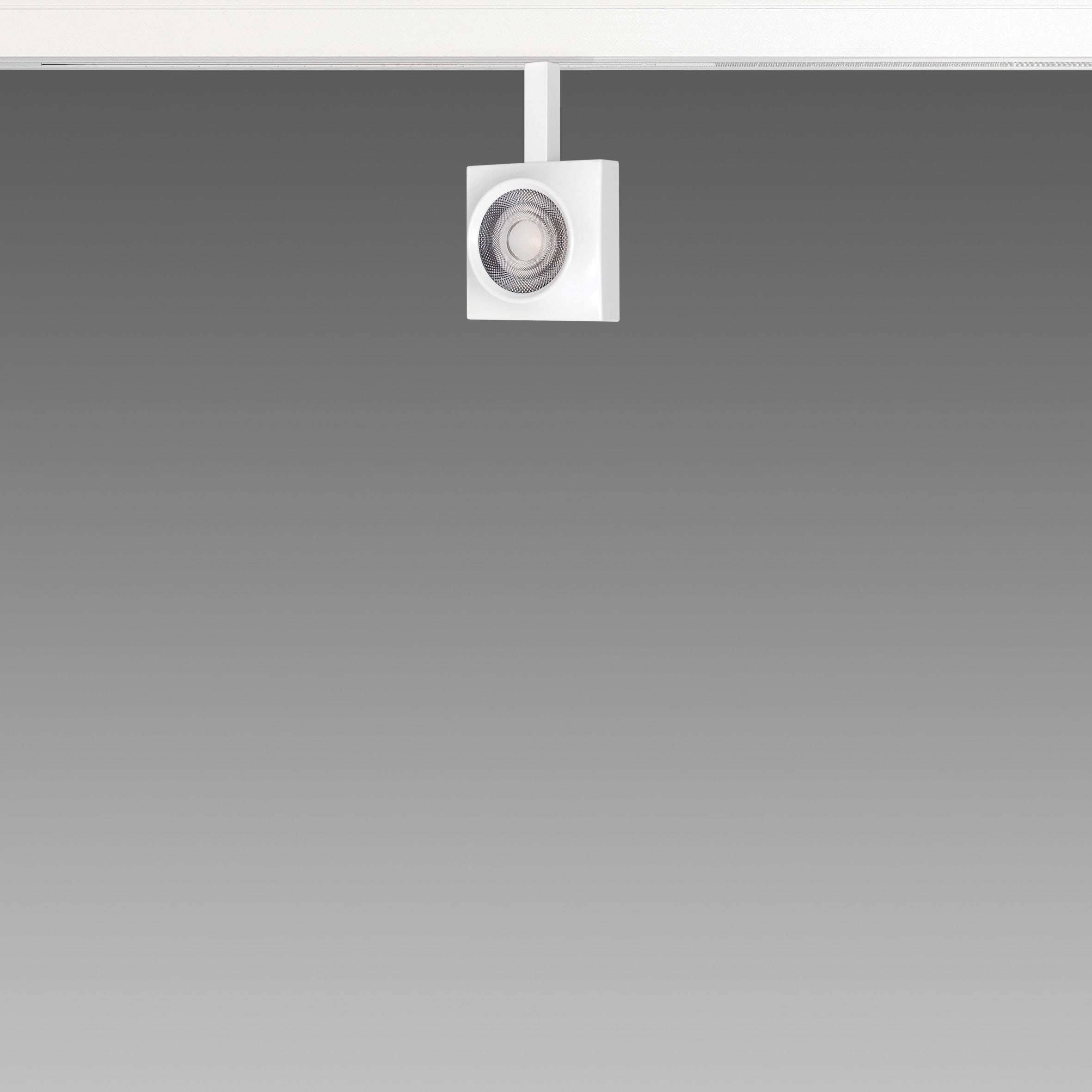 FOSNOVA - FOCUS S 50Q 1090 COB 14W 3K CLD NER