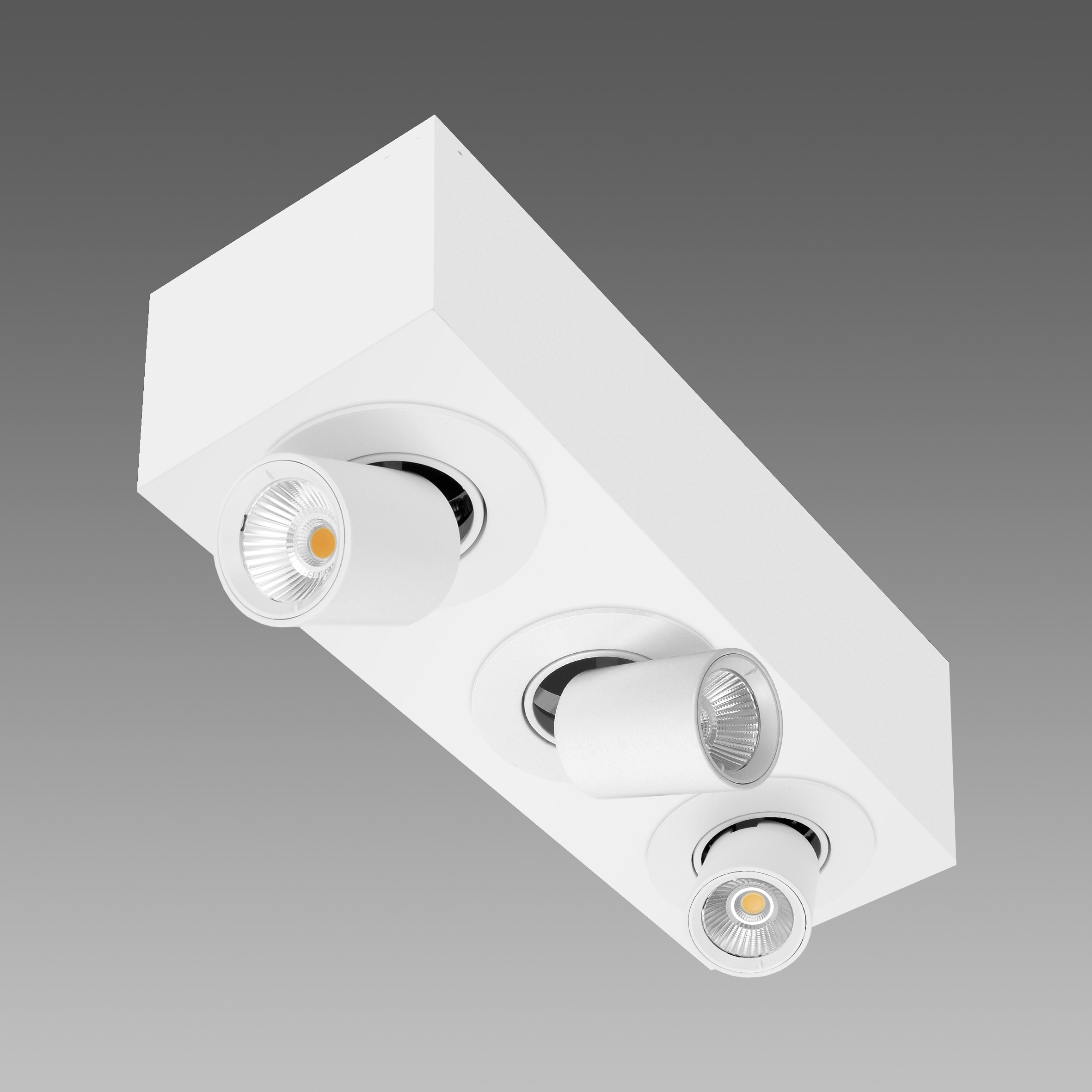 FOSNOVA - ASSO C 3 SMALL 1894 42W 4K 26 CLD BIA