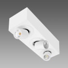 FOSNOVA - ASSO C 3 SMALL 1894 42W 4K 63 CLD BIA