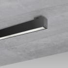 FOSNOVA - LISET2.0 HE 3032 56W 3K L2275CLD BIA PLF