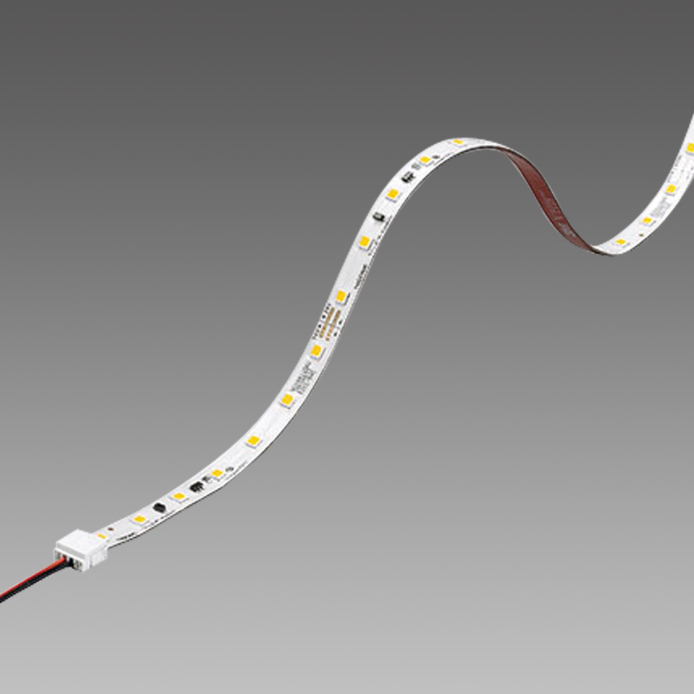 FOSNOVA - STRISCIA LED 4858 LED 5W 3K L=4,8M 24V