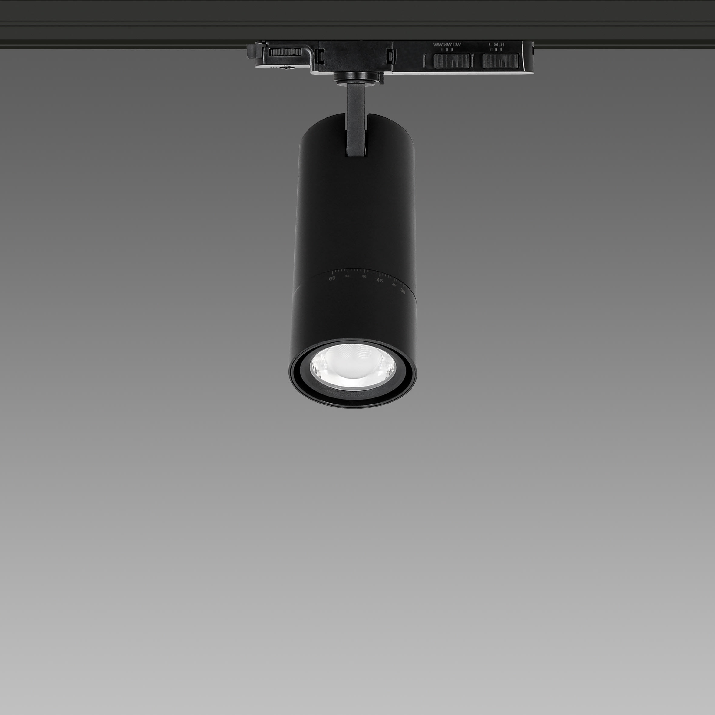 FOSNOVA - ASSO BIG Z CCT 0440 20-30W CLD NER