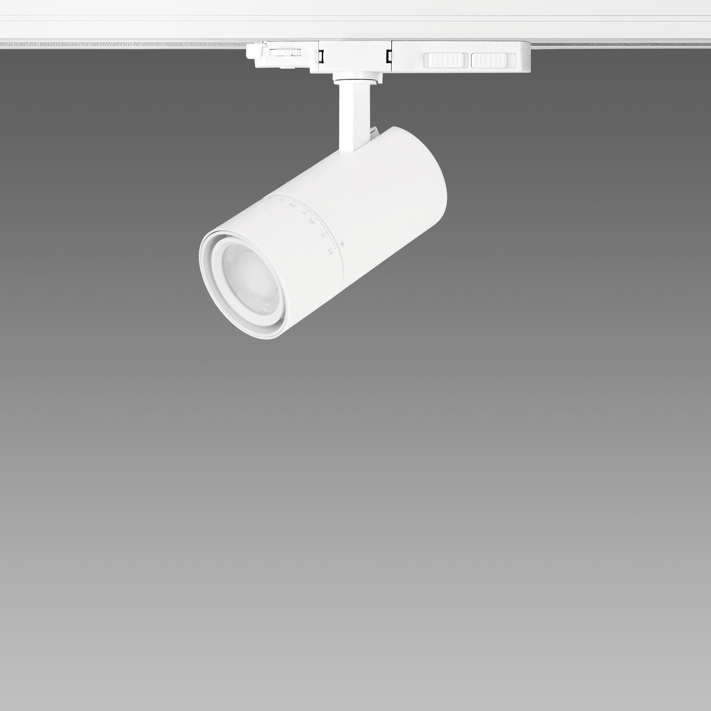 FOSNOVA - .ASSO MED Z CCT 0440 10-15-20W CLD NER