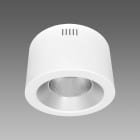 FOSNOVA - THEMIS R240 0704 31W CLD CCT BIA