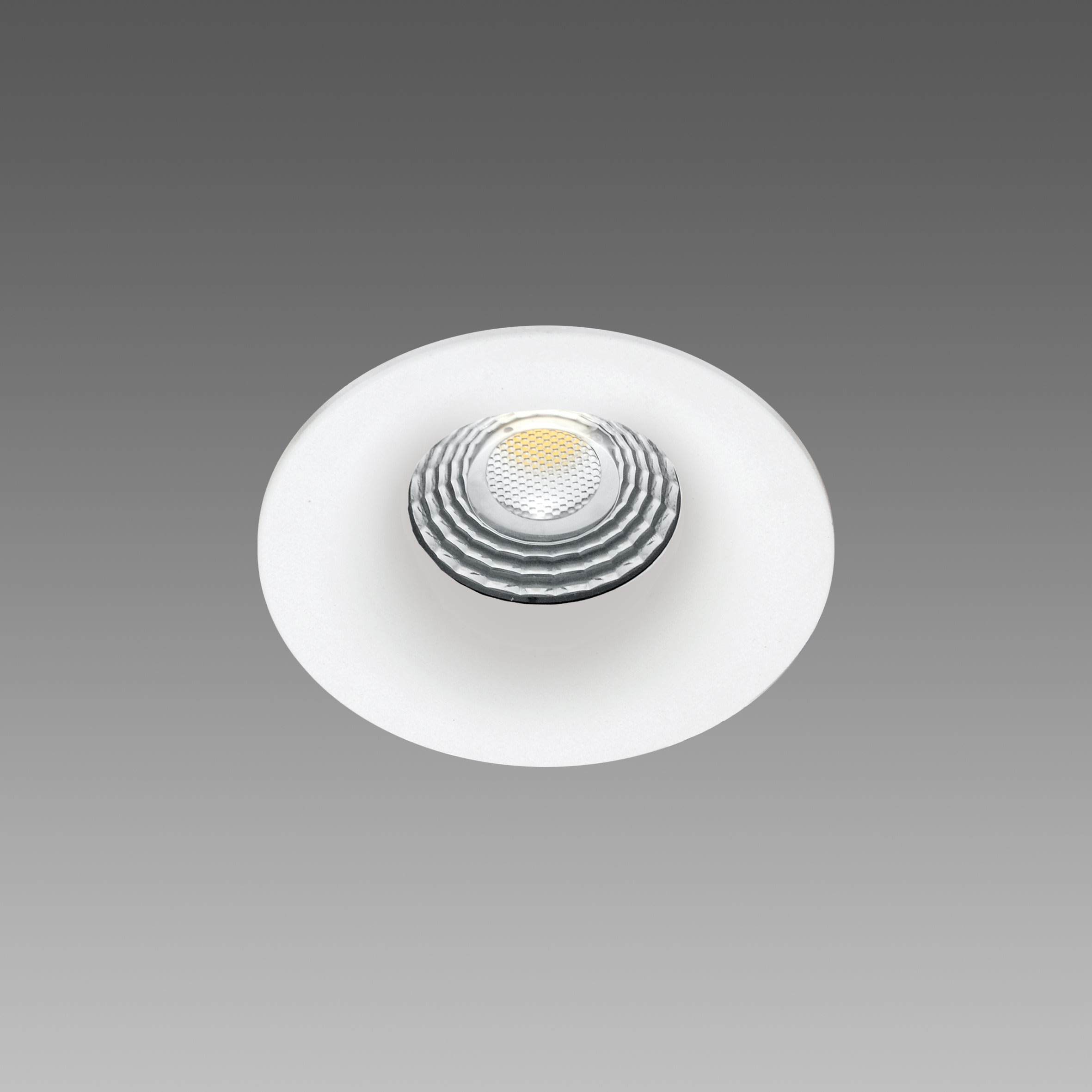 FOSNOVA - SNOW 1 0826 12W 4K CLD BIA 2208261068