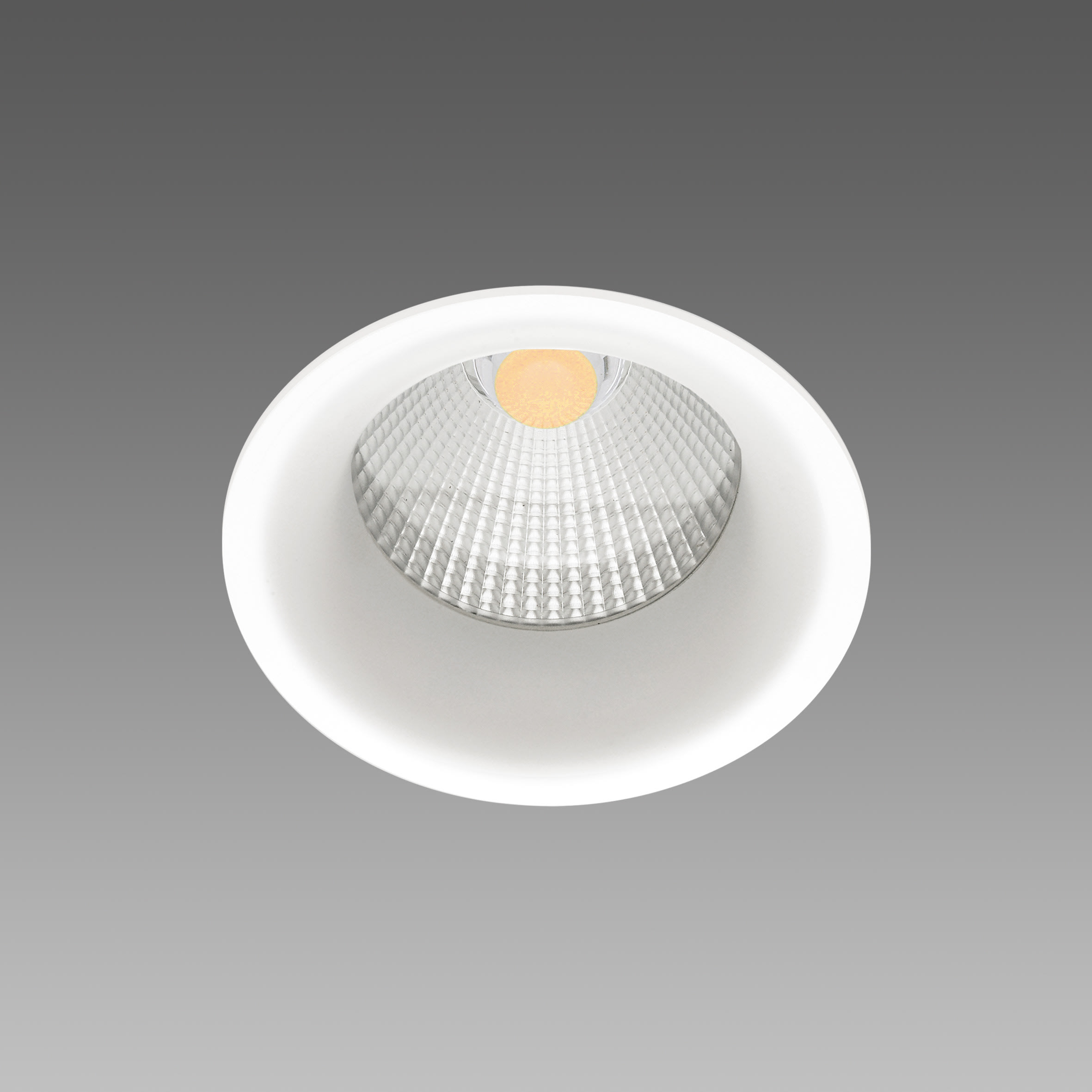 FOSNOVA - SNOW 70 0827 25W 4K CLD  NER 2208273600