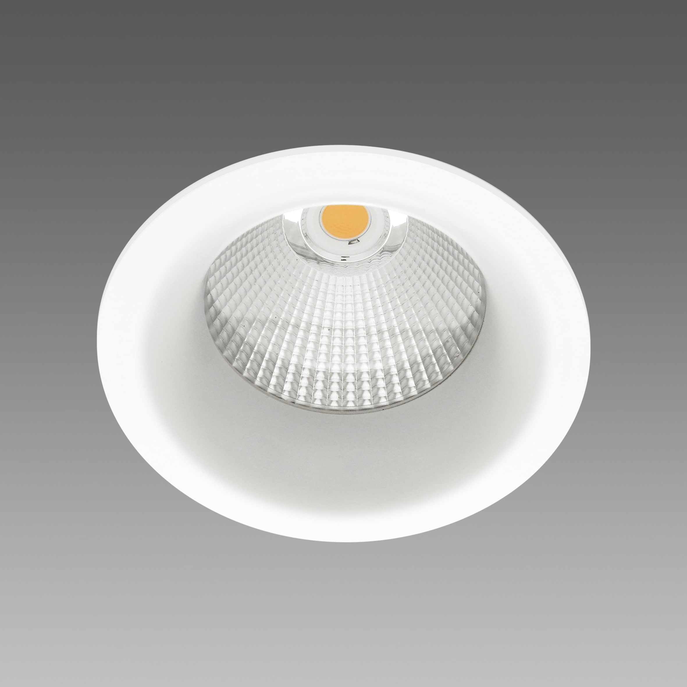 FOSNOVA - SNOW 111 0828 39W 4K CLD  BIA 2208281600