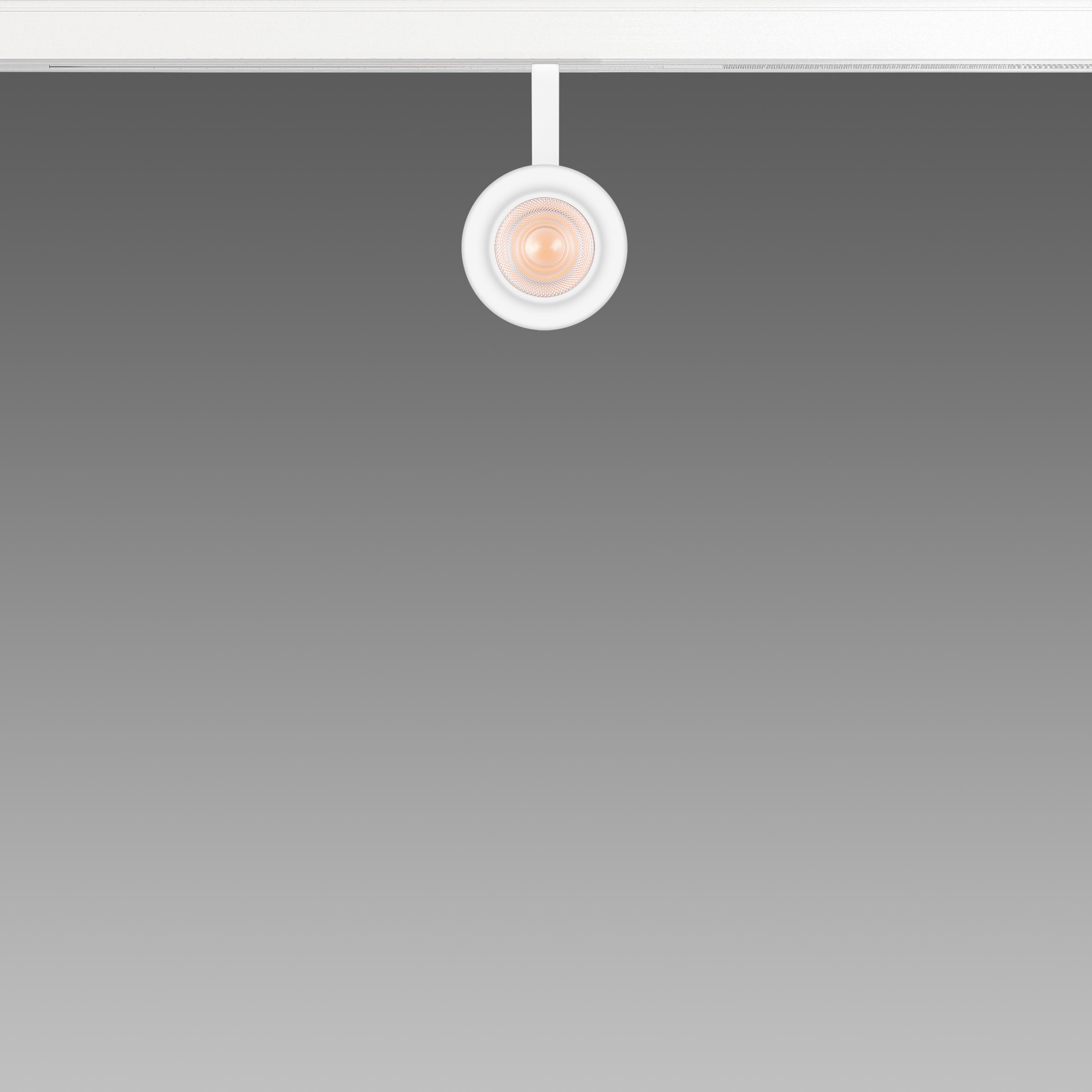 FOSNOVA - FOCUS S 50T 1064 COB 14W 3K CLD NER