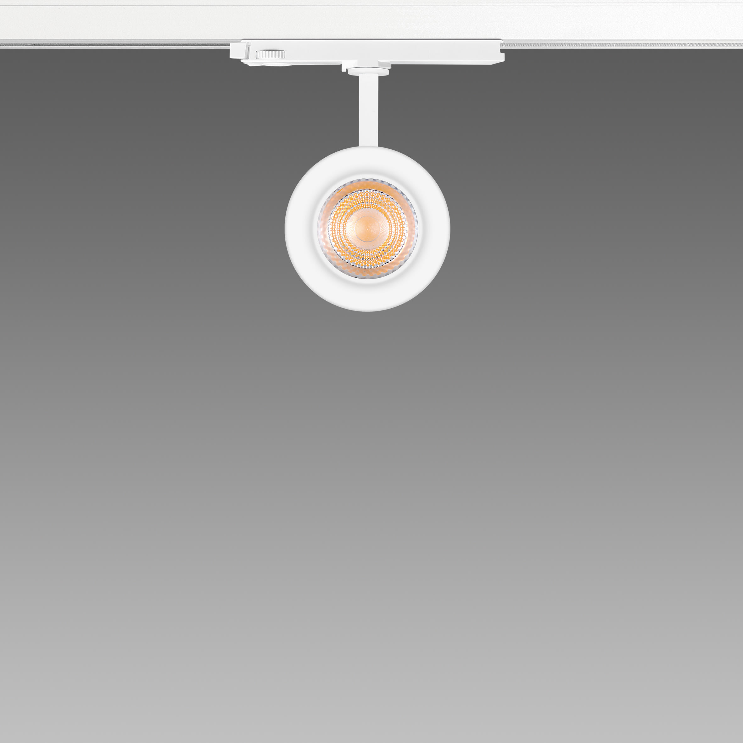 FOSNOVA - FOCUS S 70T 1067 COB 23W 3K CLD BIA