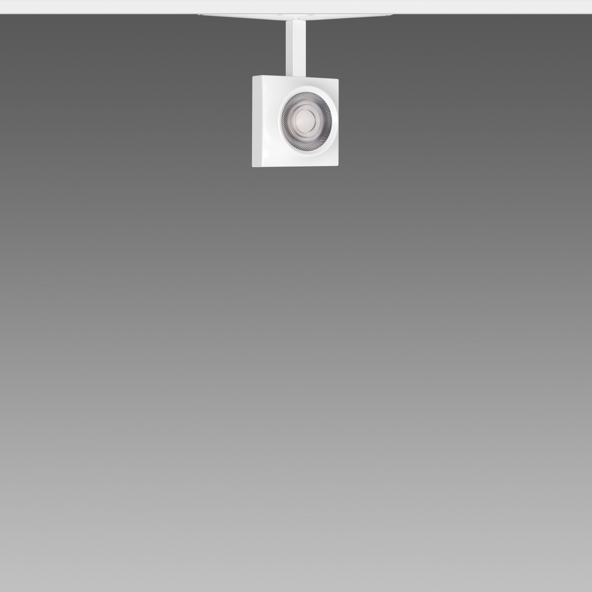 FOSNOVA - FOCUS S 50Q 1087 14W 3K CLDDD BIA 48V