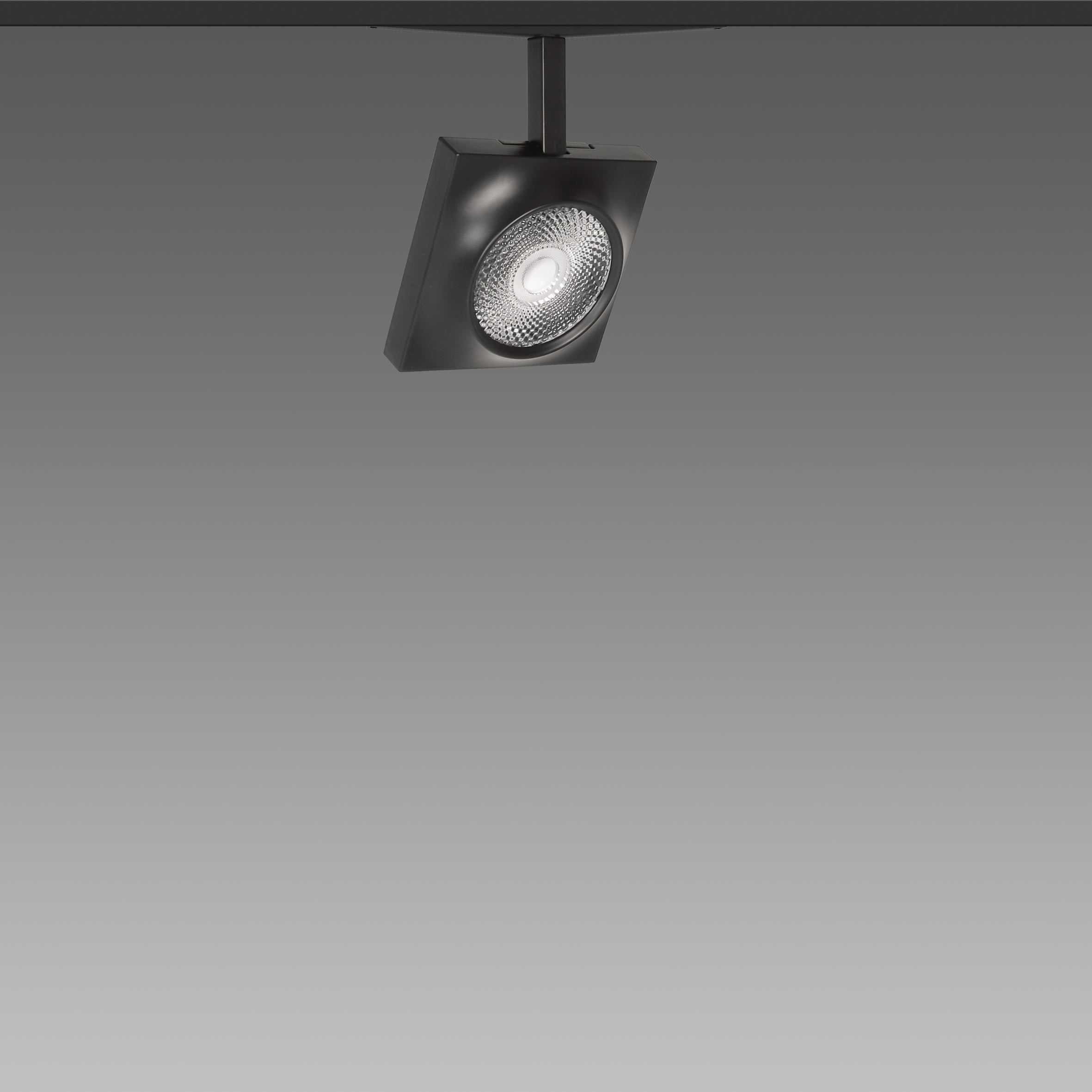 FOSNOVA - FOCUS S 70Q 1088 19W 4K CLDDD BIA 48V