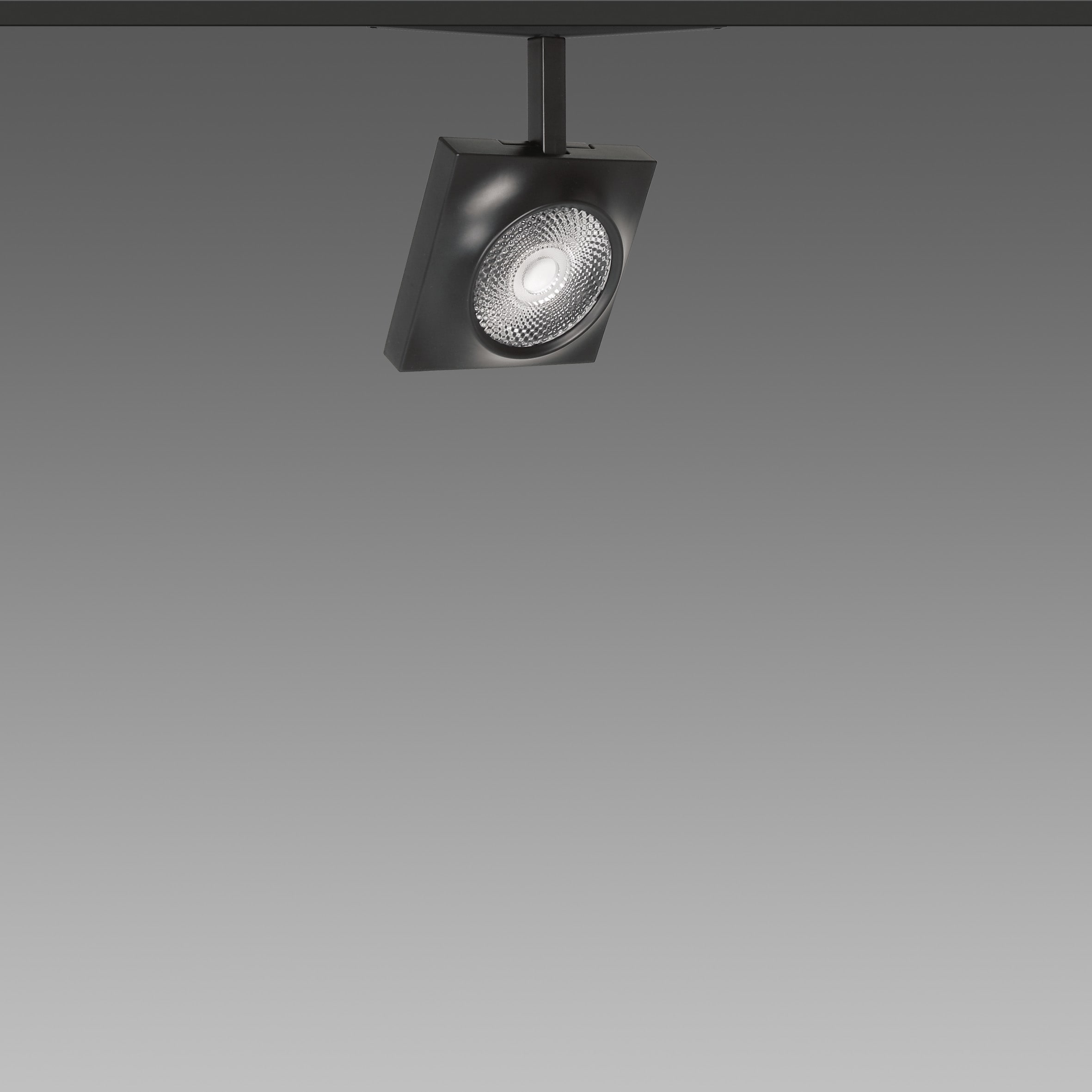 FOSNOVA - FOCUS S 70Q 1088 19W 3K CLDDD NER 48V 221088331241