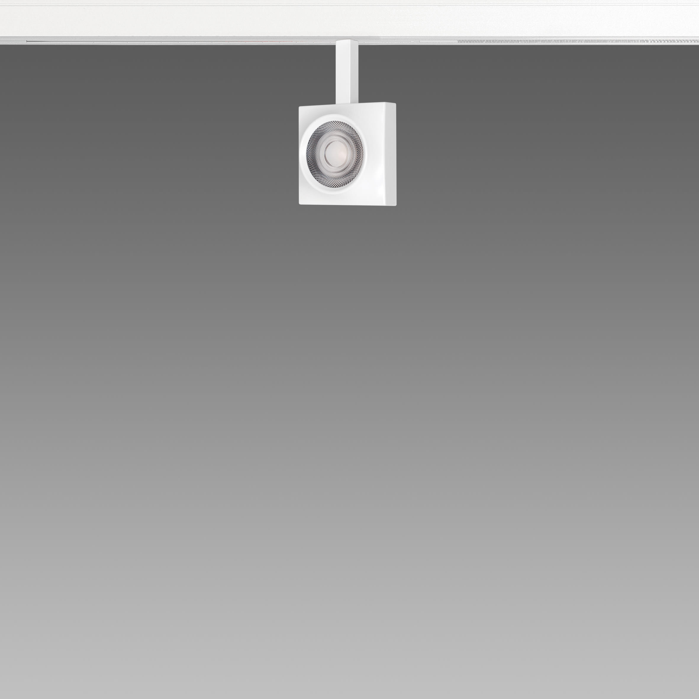 FOSNOVA - FOCUS S 50Q 1090 COB 14W 3K CLD BIA