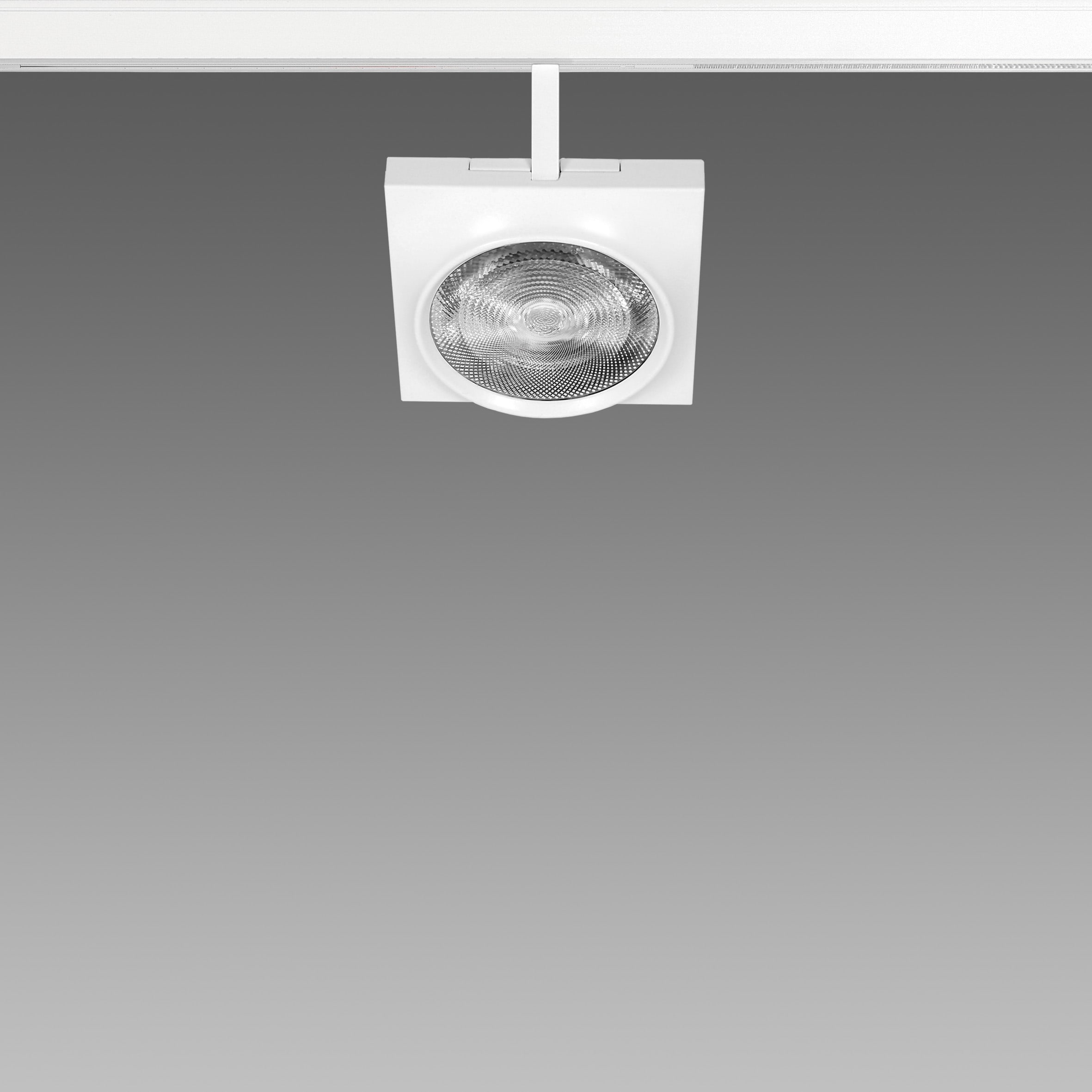 FOSNOVA - FOCUS S 111Q 1092 COB 26W 3K CLD BIA