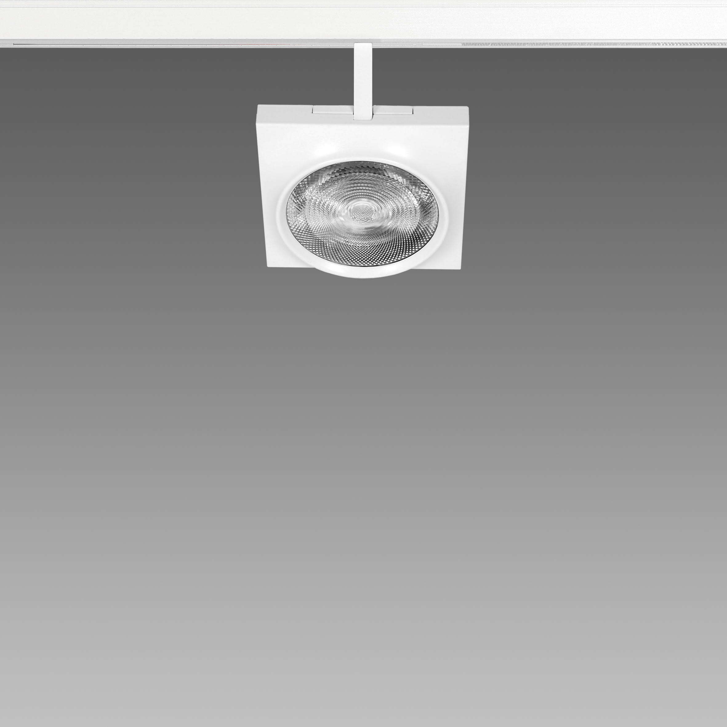 FOSNOVA - FOCUS S 111Q 1092 COB 26W 3K CLD BIA