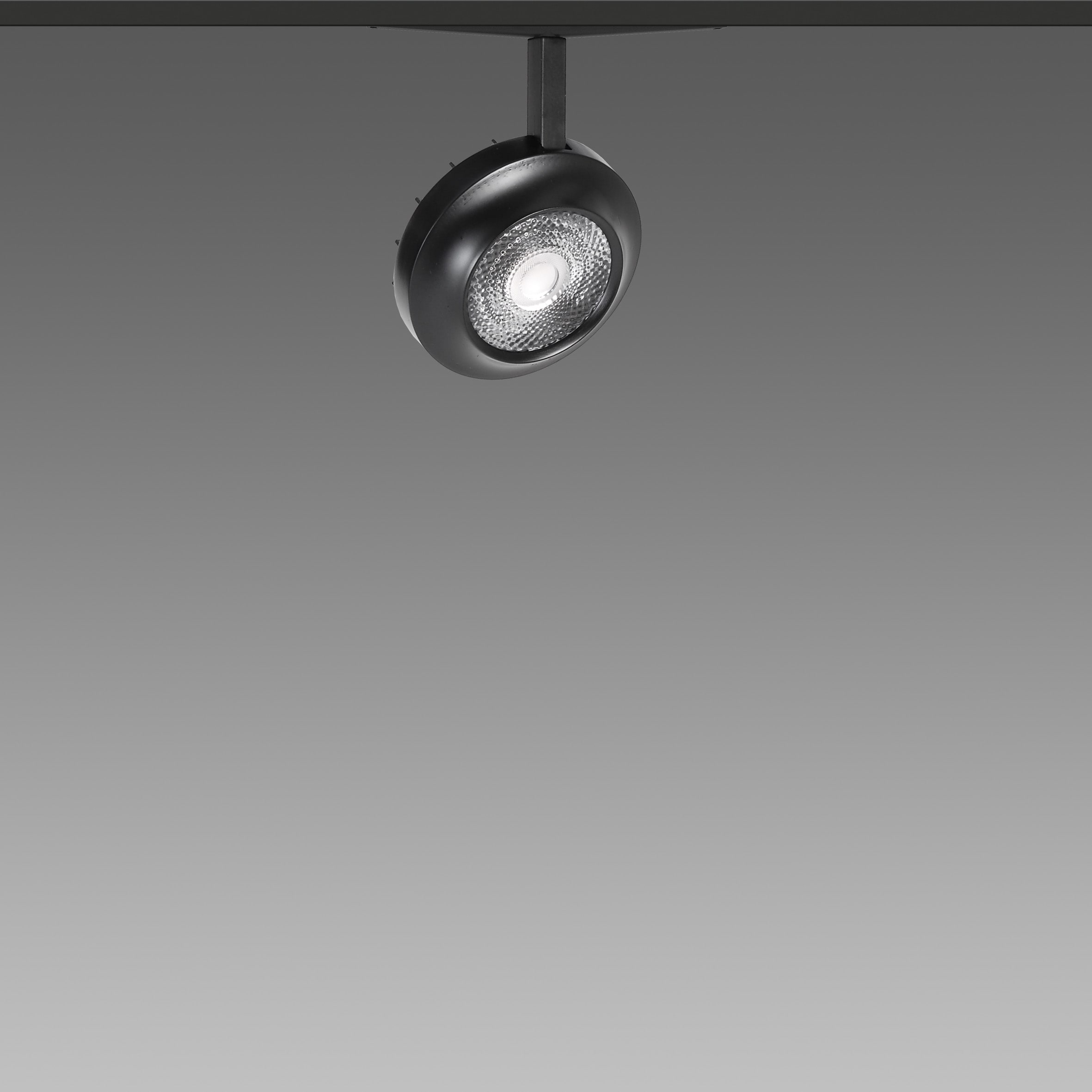 FOSNOVA - FOCUS S 70L 1095 19W 3K CLDDD NER 48V