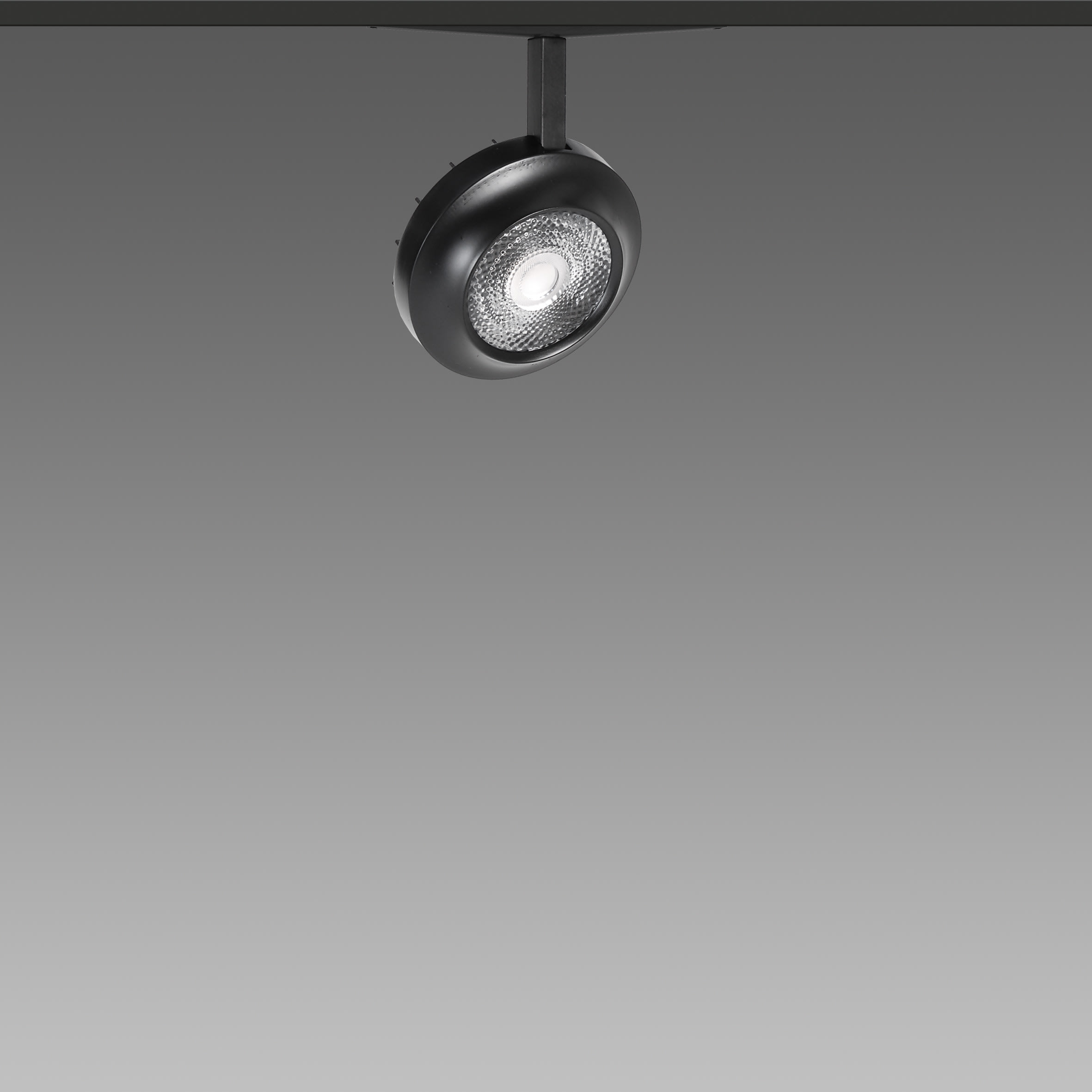 FOSNOVA - FOCUS S 70L 1095 19W 4K CLDDD NER 48V