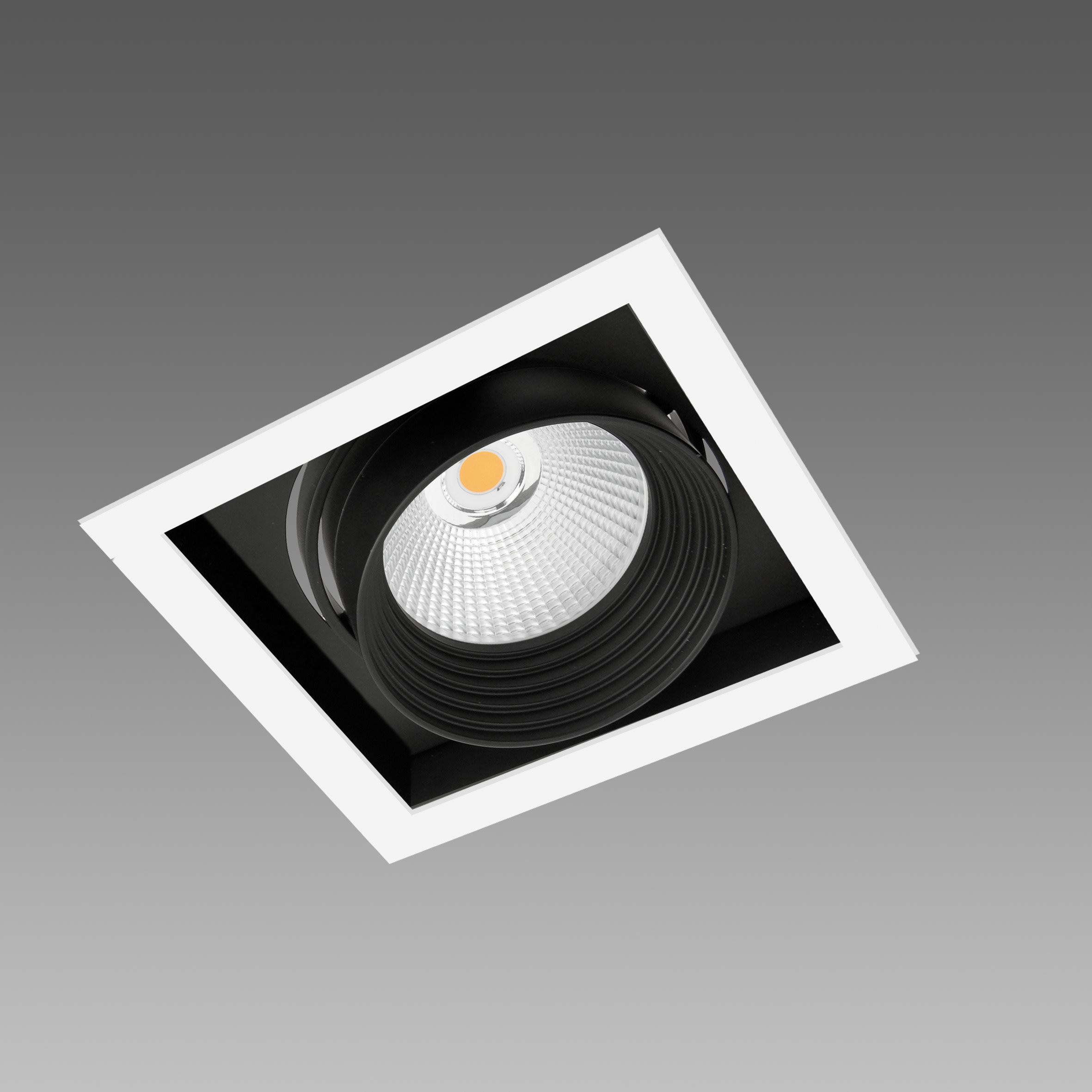 FOSNOVA - TRIMLESS B1 1111 38W 3K 25 CLD BIA