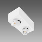 FOSNOVA - ASSO C 2 SMALL 1893 28W 38 CLD BIA