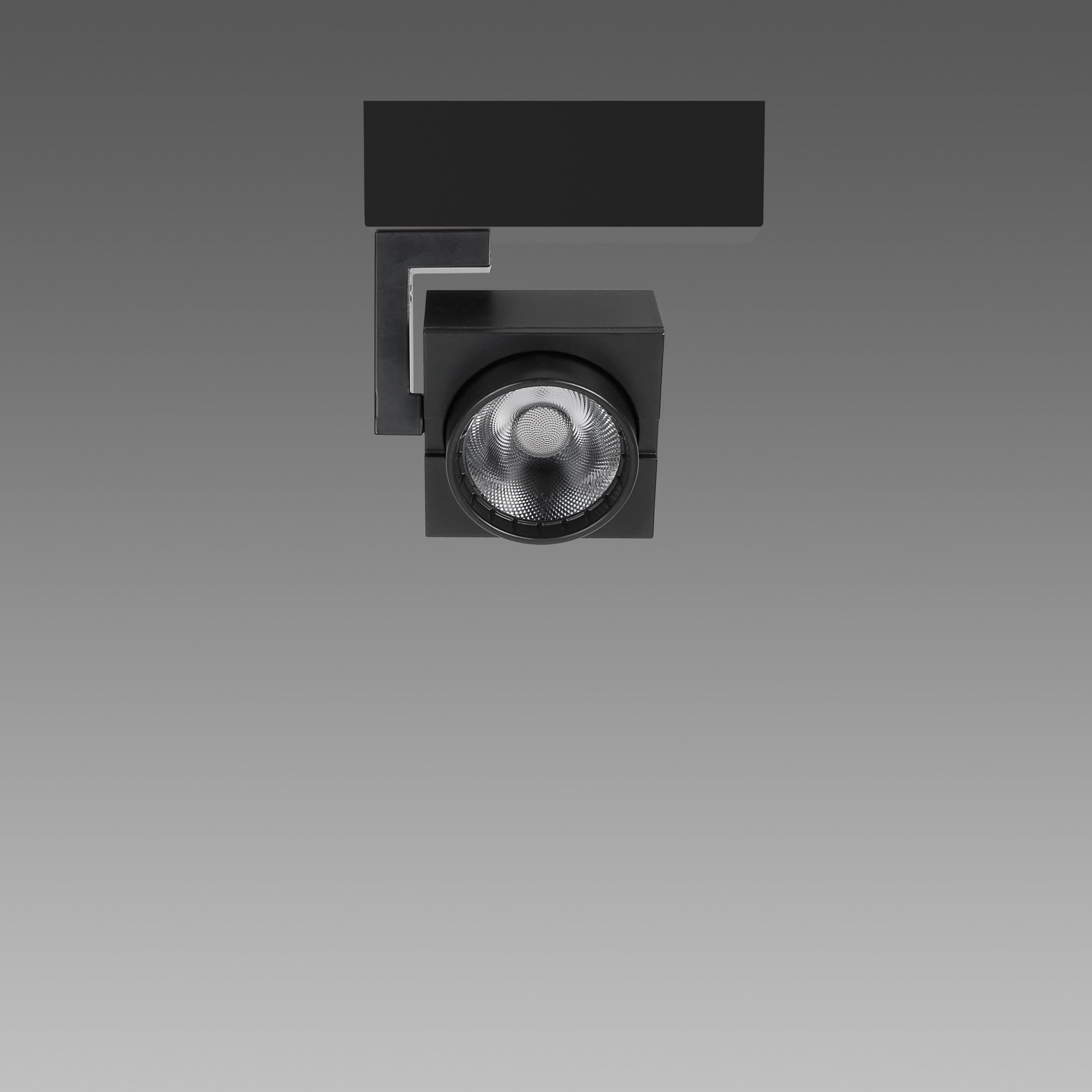 FOSNOVA - FOCUS 70L 2083 COB 25W 4K CLD BIA