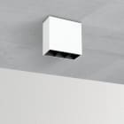 FOSNOVA - SPOT M3 5101 LED 6W 3K CLD S+L BIA