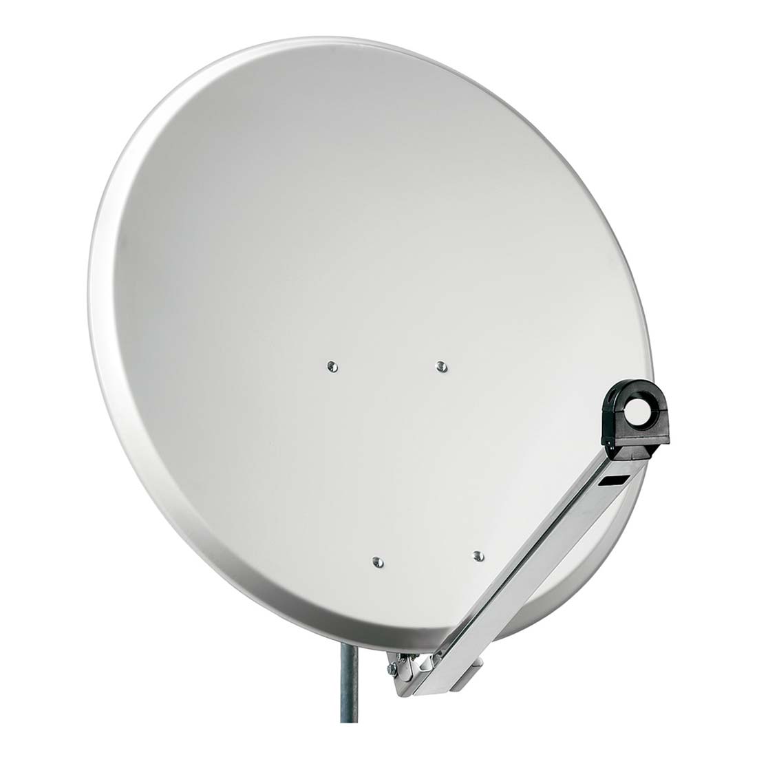 FRACARRO RADIOINDUSTRIE - PT100AC PAR 100CM ACCIAIO