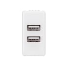 GEWISS - ALIMENTATORE DOPPIO USB 1M SY/WT
