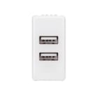 GEWISS - ALIMENTATORE DOPPIO USB 1M SY/WT