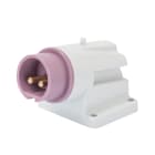 GEWISS - SPINA FISSA DA PARETE A 90° - IP44 - 2P 16A 20-25V 50-60HZ - VIOLA - S.R. - CABLAGGIO A VITE