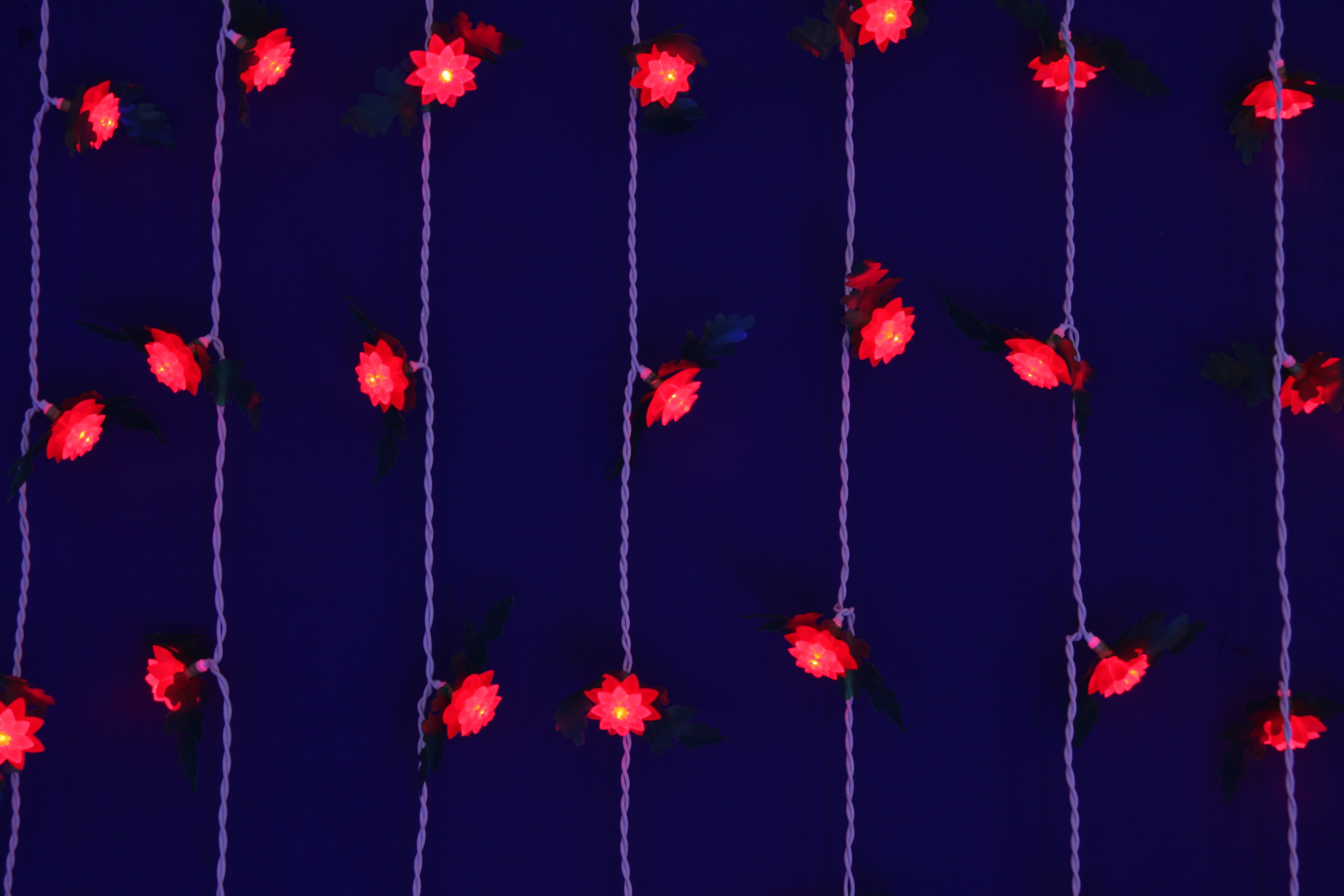 GIOCOPLAST NATALE - TENDA 72 ROSELLINE A LED ROSSI, 100X150CM., X INT., PROLUNG. FINO A 25PZ. 14209980