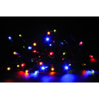 GIOCOPLAST NATALE - 40 LUCCIOLONE LED MULTI, LUCE FISSA, 4 MT. CAVO SCURO, PROLUNG. MAX 30 SET, USO EST/INT, CON CAVO ALIM 1,5 MT.