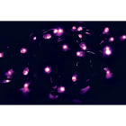 GIOCOPLAST NATALE - 40 LUCCIOLONE LED VIOLA, LUCE FISSA, 4 MT. CAVO SCURO, PROLUNG. MAX 30 SET, USO EST/INT, CON CAVO ALIM 1,5 MT.