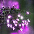 GIOCOPLAST NATALE - 40 LUCCIOLONE LED VIOLA, CON 10 FLASH, 4 MT. CAVO SCURO, PROLUNG. MAX 30 SET, USO EST/INT, CON CAVO ALIM 1,5 MT.