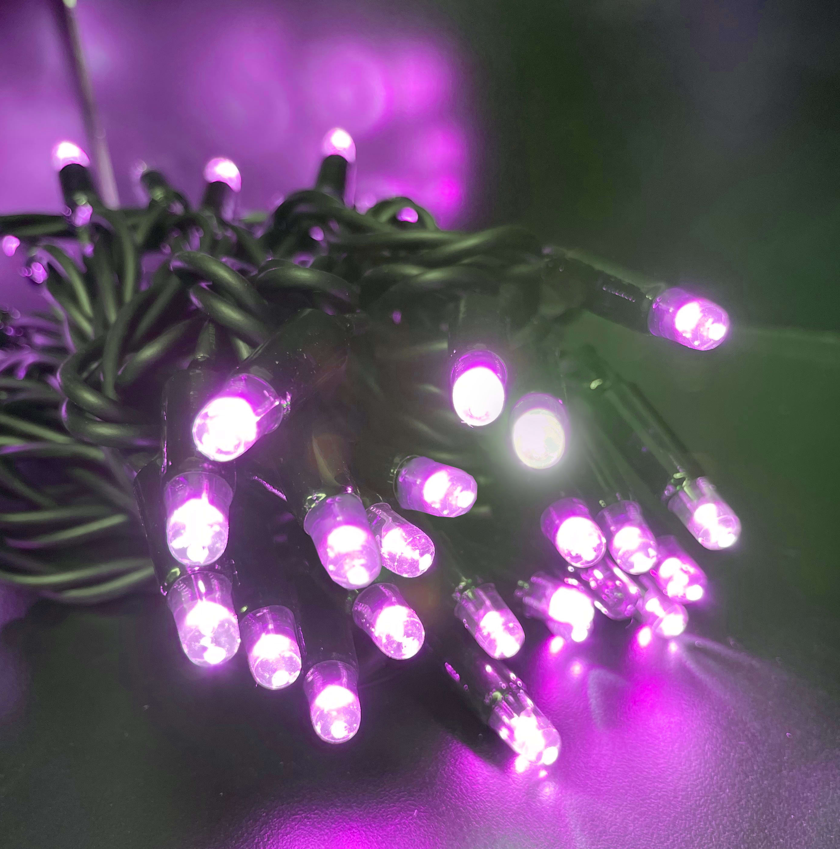 GIOCOPLAST NATALE - 40 LUCCIOLONE LED VIOLA, CON 10 FLASH, 4 MT. CAVO SCURO, PROLUNG. MAX 30 SET, USO EST/INT, CON CAVO ALIM 1,5 MT.