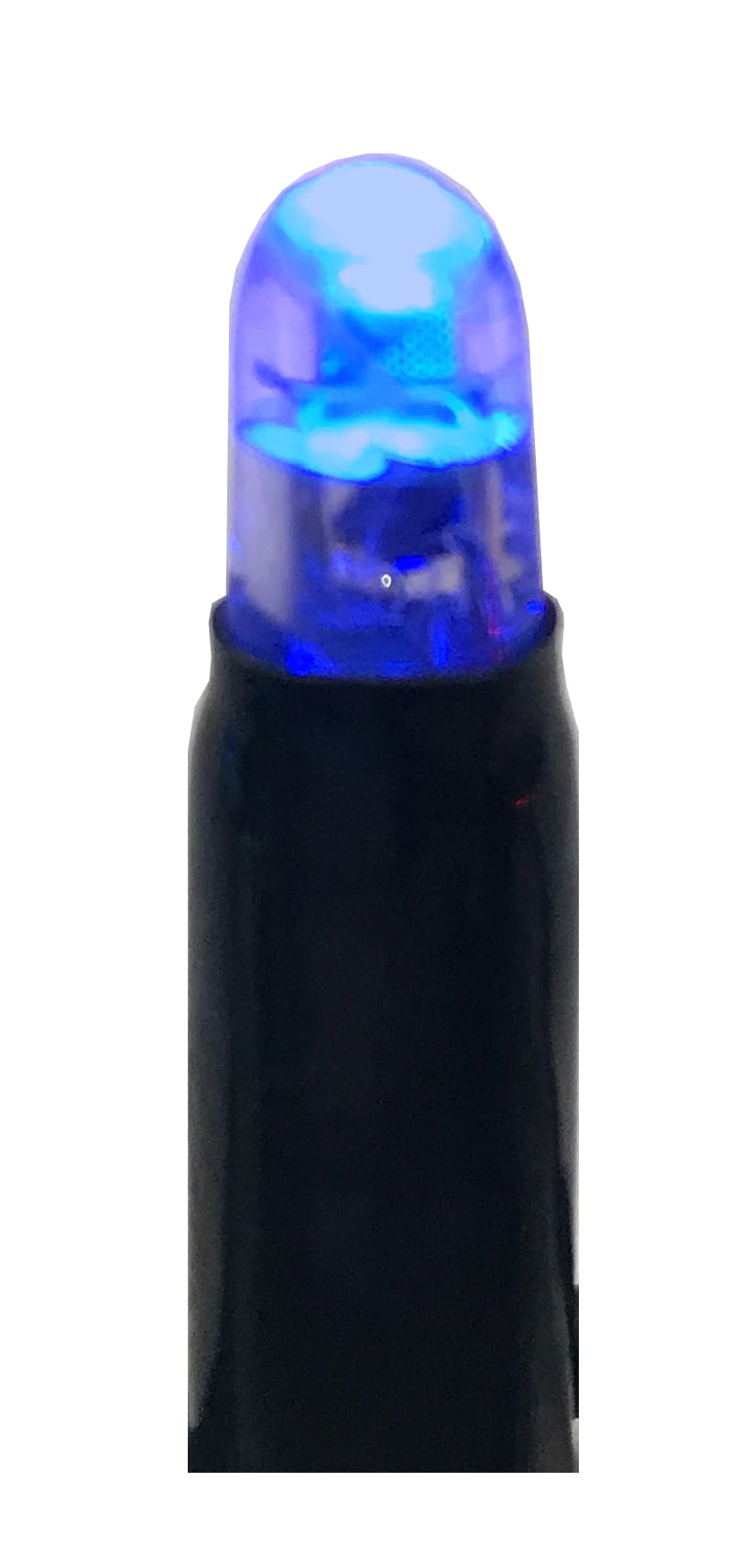 GIOCOPLAST NATALE - 100 LUCCIOLONE LED BLU, LUCE FISSA, 10 MT. CAVO SCURO, PROLUNG. MAX 20 SET, USO EST/INT, CON CAVO ALIM 1,5 MT.