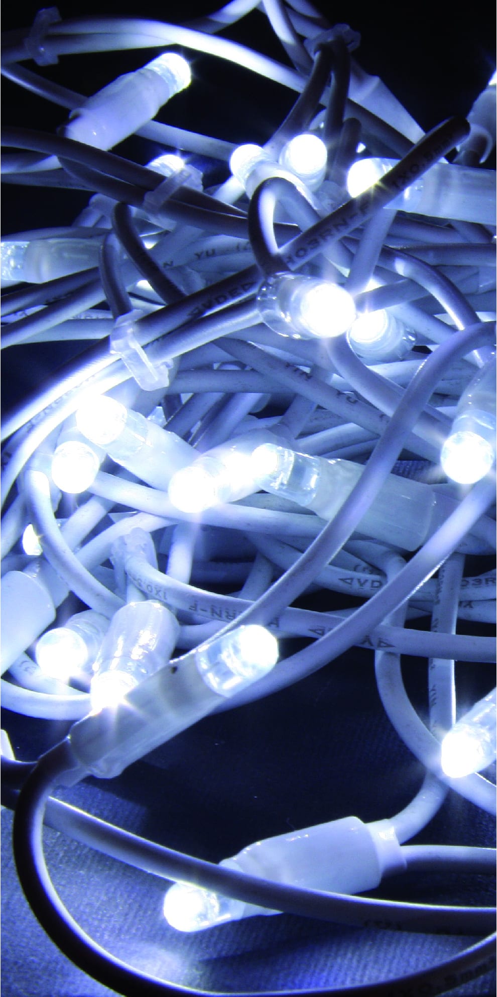 GIOCOPLAST NATALE - 100 LUCCIOLONE LED BIANCHE, L.FISSA, 10M, CAVO BIANCO, C\CAVO ALIM.
