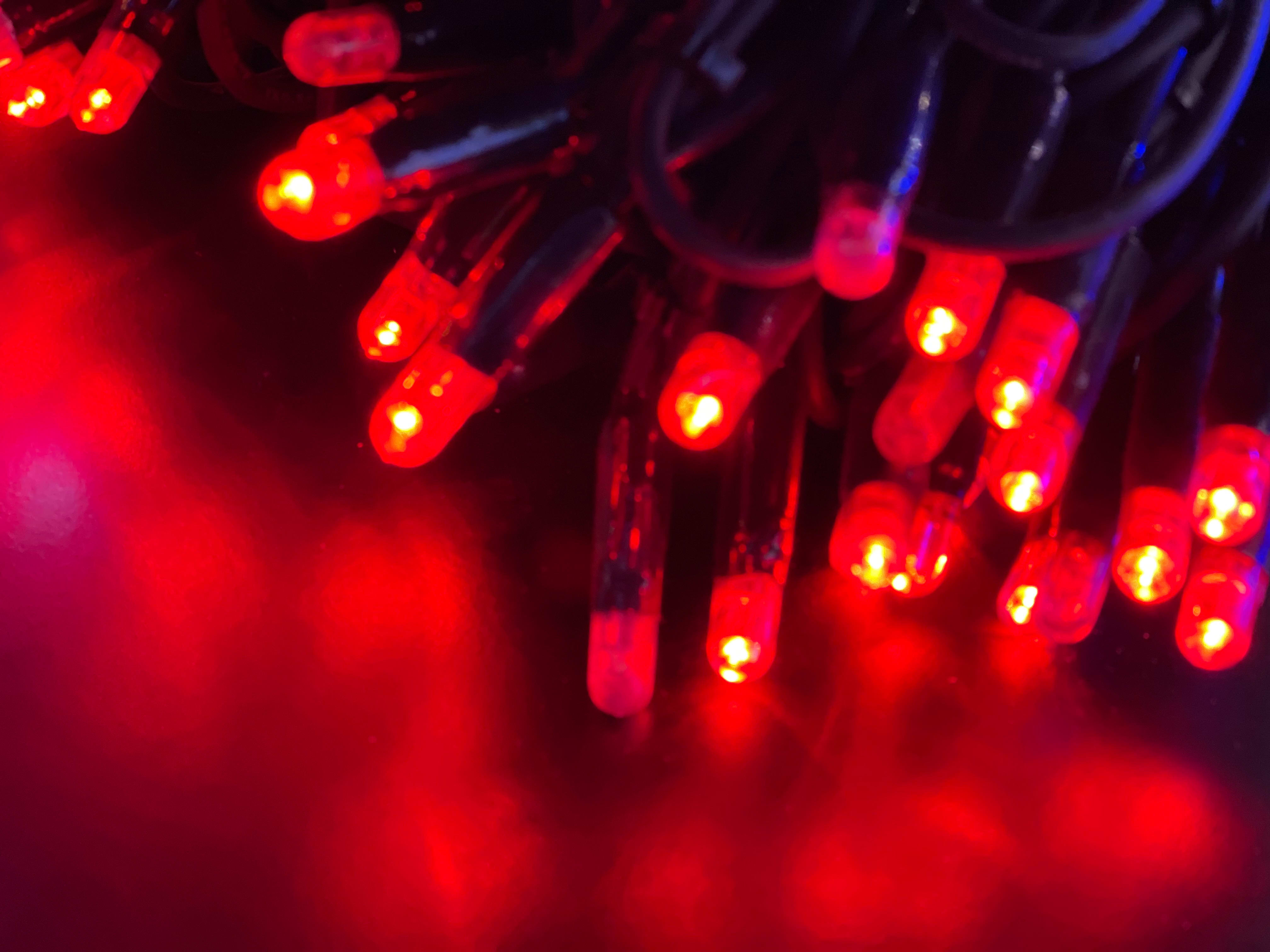 GIOCOPLAST NATALE - 100 LUCCIOLONE LED ROSSE, L.FISSA, 10M, CAVO SCURO, C\CAVO ALIM.