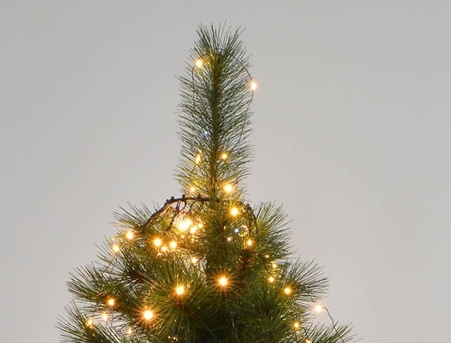 GIOCOPLAST NATALE - TENDA PER ALBERO CON 240 GOCCE DI LED BIANCO CALDO SU FILO DI RAME, CON FLASH BIANCHI, 16 CALATE, H 150 CM, USO INTERNO