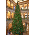 GIOCOPLAST NATALE - ALB. ''PATAGONIA'' MT 7,2 - 36.782 RAMI
